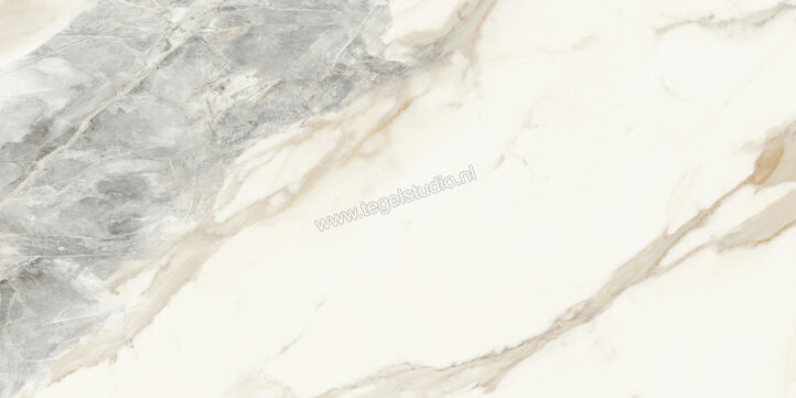  Monocibec On Stage Victoria 60x120 cm Vloertegel / Wandtegel Glanzend Vlak Molata 0133323 | 396633