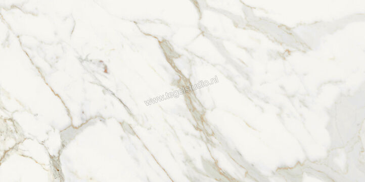  Topcollection On Stage Boulevard 60x120 cm Vloertegel / Wandtegel Glanzend Vlak Molata 0133328 | 396729
