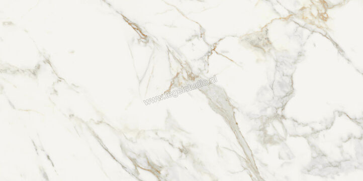  Topcollection On Stage Boulevard 60x120 cm Vloertegel / Wandtegel Glanzend Vlak Molata 0133328 | 396732