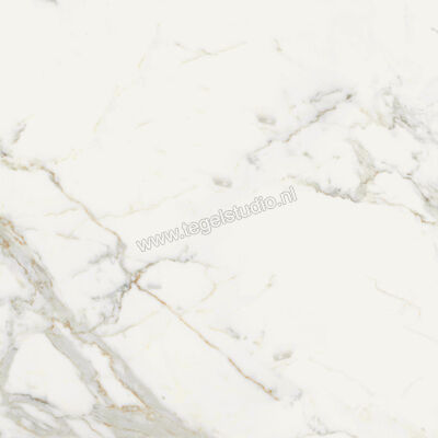  Monocibec On Stage Boulevard 80x80 cm Vloertegel / Wandtegel Glanzend Vlak Molata 0133342 | 397182