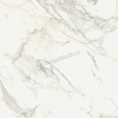  Monocibec On Stage Boulevard 80x80 cm Vloertegel / Wandtegel Glanzend Vlak Molata 0133342 | 397188