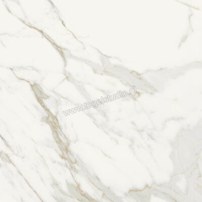  Monocibec On Stage Boulevard 80x80 cm Vloertegel / Wandtegel Glanzend Vlak Molata 0133342 | 397191