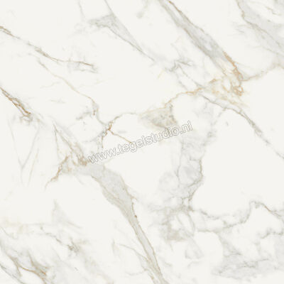  Topcollection On Stage Boulevard 80x80 cm Vloertegel / Wandtegel Glanzend Vlak Molata 0133342 | 397194