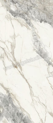  Topcollection On Stage Victoria 120x278 cm Vloertegel / Wandtegel Glanzend Vlak Molata 0135796 | 397323