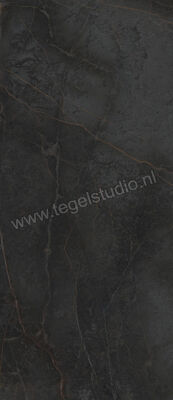  Topcollection On Stage Adelphi 120x278 cm Vloertegel / Wandtegel Glanzend Vlak Molata 0135797 | 397332