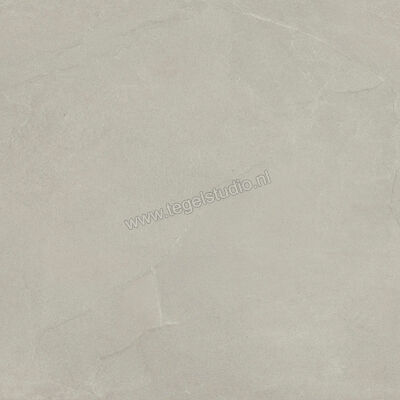  Imola Ceramica Azuma Rock Outdoor Silver AG 60x60x2 cm Terrastegel Mat Vlak Natural A.RCK 60AG ASRM | 398352