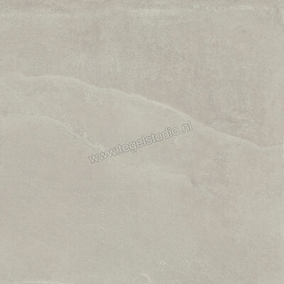  Imola Ceramica Azuma Rock Outdoor Silver AG 60x60x2 cm Terrastegel Mat Vlak Natural A.RCK 60AG ASRM | 398358