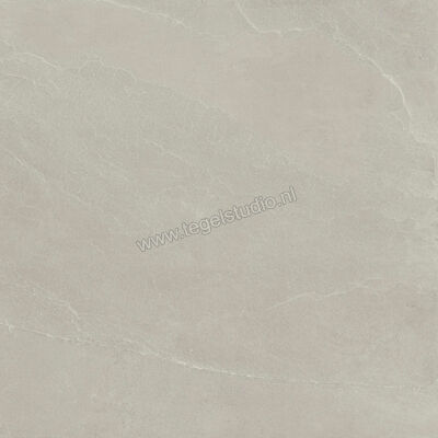  Imola Ceramica Azuma Rock Outdoor Silver AG 60x60x2 cm Terrastegel Mat Vlak Natural A.RCK 60AG ASRM | 398373