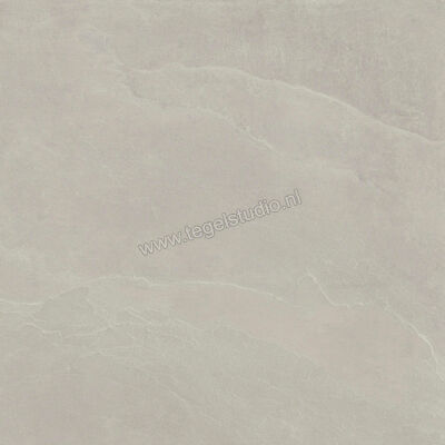  Imola Ceramica Azuma Rock Outdoor Silver AG 90x90x2 cm Terrastegel Mat Vlak Natural A.RCK 90AG ASRM | 398541