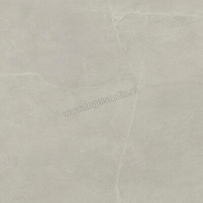  Imola Ceramica Azuma Rock Outdoor Silver AG 90x90x2 cm Terrastegel Mat Vlak Natural A.RCK 90AG ASRM | 398547