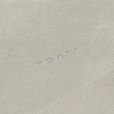  Imola Ceramica Azuma Rock Outdoor Silver AG 90x90x2 cm Terrastegel Mat Vlak Natural A.RCK 90AG ASRM | 398559