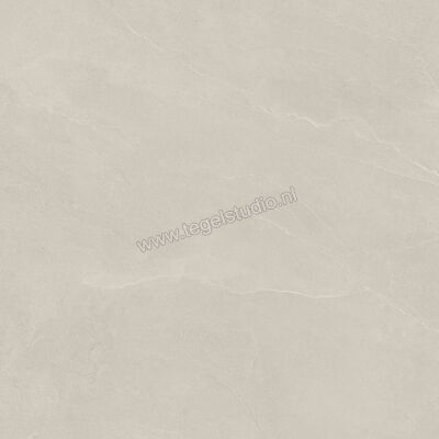  Imola Ceramica Azuma Rock Outdoor Camargue CG 90x90x2 cm Terrastegel Mat Vlak Natural A.RCK 90CG ASRM | 398607