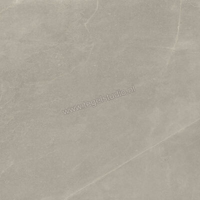  Imola Ceramica Azuma Rock Outdoor Grey G 90x90x2 cm Terrastegel Mat Vlak Natural A.RCK 90G ASRM | 398649
