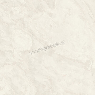  Imola Ceramica The Rock Ardesia 60x60 cm Vloertegel / Wandtegel Mat Vlak Naturale ARDESI6 60 RM | 398733