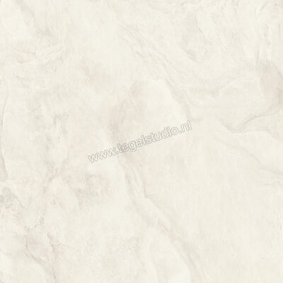  Imola Ceramica The Rock Ardesia 60x60 cm Vloertegel / Wandtegel Mat Vlak Naturale ARDESI6 60 RM | 398742