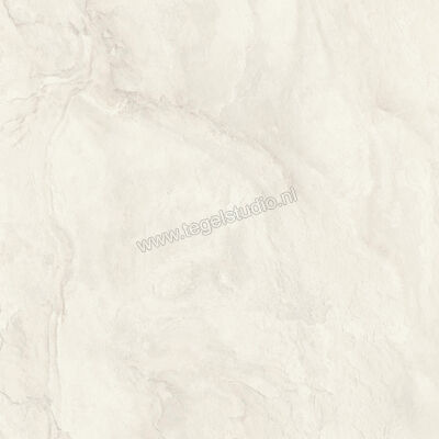  Imola Ceramica The Rock Ardesia 60x60 cm Vloertegel / Wandtegel Mat Vlak Naturale ARDESI6 60 RM | 398745