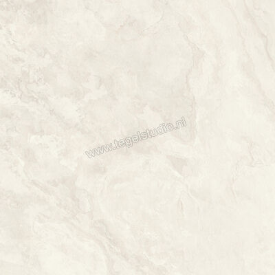  Imola Ceramica The Rock Ardesia 90x90 cm Vloertegel / Wandtegel Mat Vlak Naturale ARDESI 90 RM | 398784