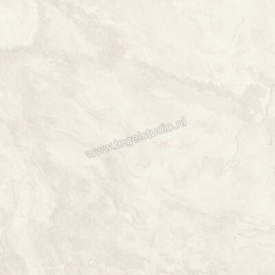  Imola Ceramica The Rock Ardesia 90x90 cm Vloertegel / Wandtegel Mat Vlak Naturale ARDESI 90 RM | 398787