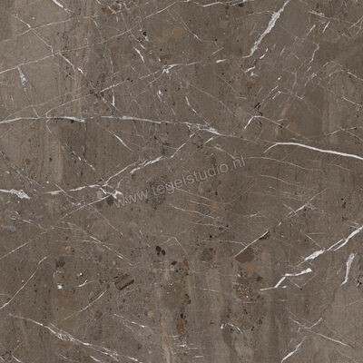  Imola Ceramica The Rock Breccia Imperiale 60x60 cm Vloertegel / Wandtegel Mat Vlak Naturale BREIMP6 60 RM | 399222