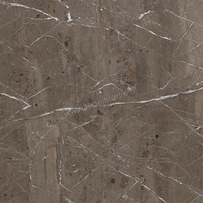  Imola Ceramica The Rock Breccia Imperiale 60x60 cm Vloertegel / Wandtegel Mat Vlak Naturale BREIMP6 60 RM | 399225