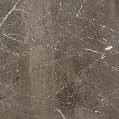  Imola Ceramica The Rock Breccia Imperiale 60x60 cm Vloertegel / Wandtegel Mat Vlak Naturale BREIMP6 60 RM | 399231