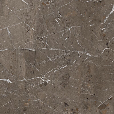  Imola Ceramica The Rock Breccia Imperiale 90x90x2 cm Terrastegel Mat Vlak Naturale BREIMP 90 AS RM | 399246