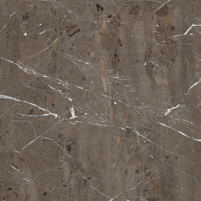  Imola Ceramica The Rock Breccia Imperiale 90x90x2 cm Terrastegel Mat Vlak Naturale BREIMP 90 AS RM | 399249