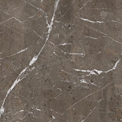  Imola Ceramica The Rock Breccia Imperiale 90x90x2 cm Terrastegel Mat Vlak Naturale BREIMP 90 AS RM | 399255