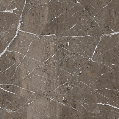  Imola Ceramica The Rock Breccia Imperiale 90x90x2 cm Terrastegel Mat Vlak Naturale BREIMP 90 AS RM | 399258
