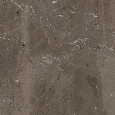  Imola Ceramica The Rock Breccia Imperiale 90x90x2 cm Terrastegel Mat Vlak Naturale BREIMP 90 AS RM | 399264
