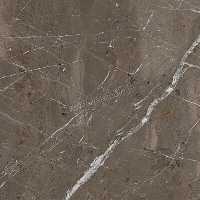  Imola Ceramica The Rock Breccia Imperiale 90x90x2 cm Terrastegel Mat Vlak Naturale BREIMP 90 AS RM | 399267
