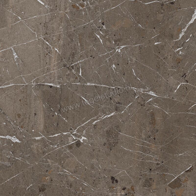  Imola Ceramica The Rock Breccia Imperiale 90x90 cm Vloertegel / Wandtegel Mat Vlak Naturale BREIMP 90 RM | 399270