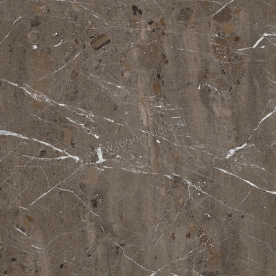  Imola Ceramica The Rock Breccia Imperiale 90x90 cm Vloertegel / Wandtegel Mat Vlak Naturale BREIMP 90 RM | 399273