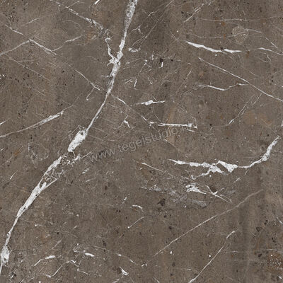  Imola Ceramica The Rock Breccia Imperiale 90x90 cm Vloertegel / Wandtegel Mat Vlak Naturale BREIMP 90 RM | 399279