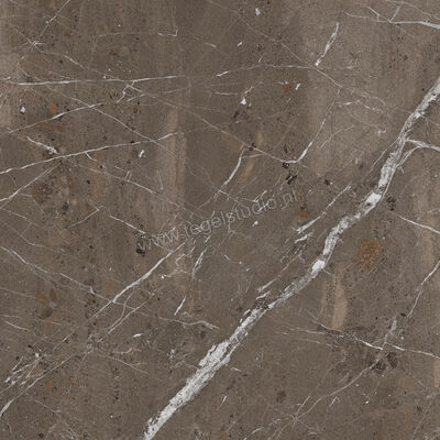  Imola Ceramica The Rock Breccia Imperiale 90x90 cm Vloertegel / Wandtegel Mat Vlak Naturale BREIMP 90 RM | 399291