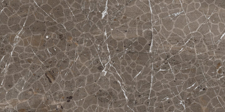  Imola Ceramica The Rock Breccia Imperiale 60x120 cm Wandtegel Mat Vlak Naturale BREIMP6 DK12 RM | 399423