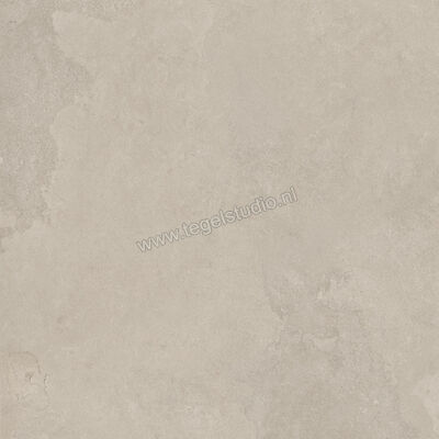  Imola Ceramica The Rock Dorset 60x60 cm Vloertegel / Wandtegel Mat Vlak Naturale DORSET6 60 RM | 399456