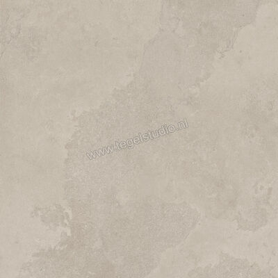  Imola Ceramica The Rock Dorset 60x60 cm Vloertegel / Wandtegel Mat Vlak Naturale DORSET6 60 RM | 399462