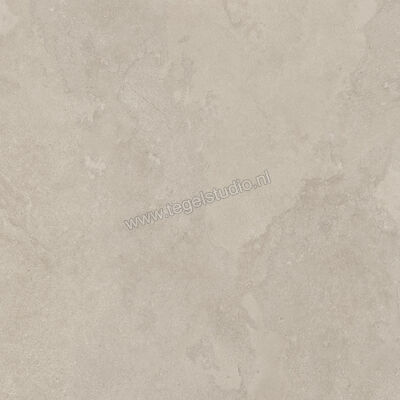  Imola Ceramica The Rock Dorset 60x60 cm Vloertegel / Wandtegel Mat Vlak Naturale DORSET6 60 RM | 399468