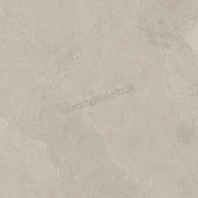  Imola Ceramica The Rock Dorset 60x60 cm Vloertegel / Wandtegel Mat Vlak Naturale DORSET6 60 RM | 399483