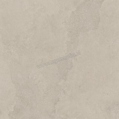  Imola Ceramica The Rock Dorset 60x60 cm Vloertegel / Wandtegel Mat Vlak Naturale DORSET6 60 RM | 399486