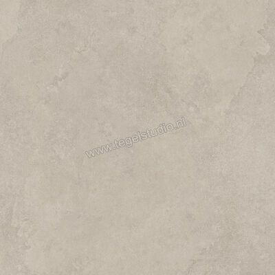  Imola Ceramica The Rock Dorset 60x60 cm Vloertegel / Wandtegel Mat Vlak Naturale DORSET6 60 RM | 399489