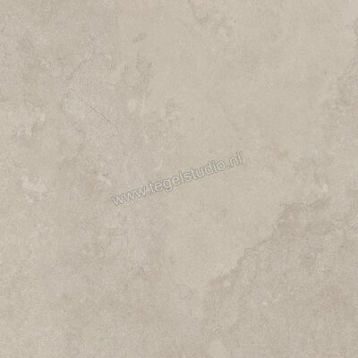  Imola Ceramica The Rock Dorset 90x90x2 cm Terrastegel Mat Vlak Naturale DORSET 90 AS RM | 399501