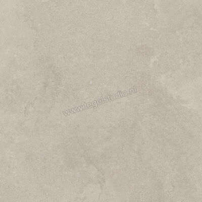  Imola Ceramica The Rock Dorset 90x90x2 cm Terrastegel Mat Vlak Naturale DORSET 90 AS RM | 399510