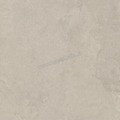  Imola Ceramica The Rock Dorset 90x90x2 cm Terrastegel Mat Vlak Naturale DORSET 90 AS RM | 399513