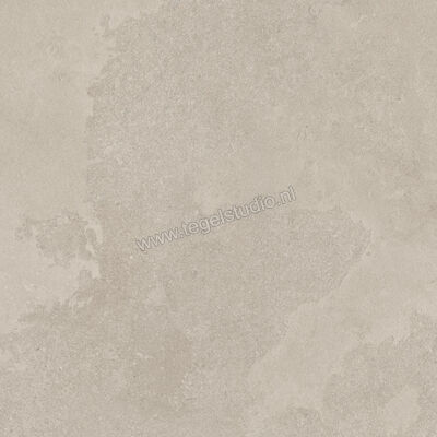 Imola Ceramica The Rock Dorset 90x90 cm Vloertegel / Wandtegel Mat Vlak Naturale DORSET 90 RM | 399522