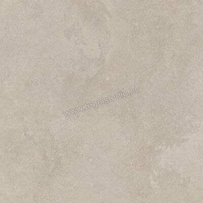 Imola Ceramica The Rock Dorset 90x90 cm Vloertegel / Wandtegel Mat Vlak Naturale DORSET 90 RM | 399528