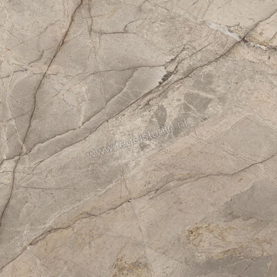  Imola Ceramica The Rock Greige 90x90x2 cm Terrastegel Esterni Mat Vlak Natural FIBOSC 90 AS RM | 399630