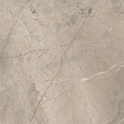  Imola Ceramica The Rock Greige 90x90x2 cm Terrastegel Esterni Mat Vlak Natural FIBOSC 90 AS RM | 399633