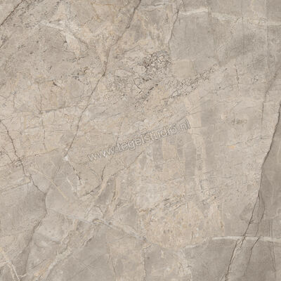  Imola Ceramica The Rock Greige 90x90x2 cm Terrastegel Esterni Mat Vlak Natural FIBOSC 90 AS RM | 399636